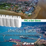 Морская перевозка и перевалка импортного риса в портах Краснодарского края и Санкт-петербурга